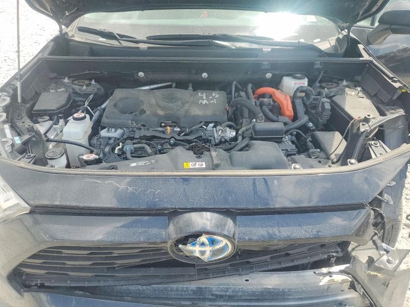 2024 TOYOTA RAV4 LE LE 12