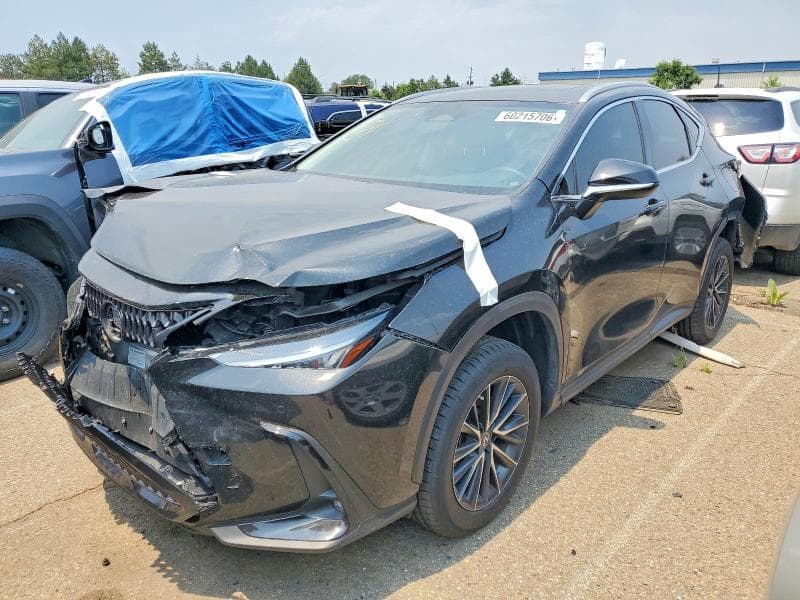 2023 LEXUS NX 350 - 1
