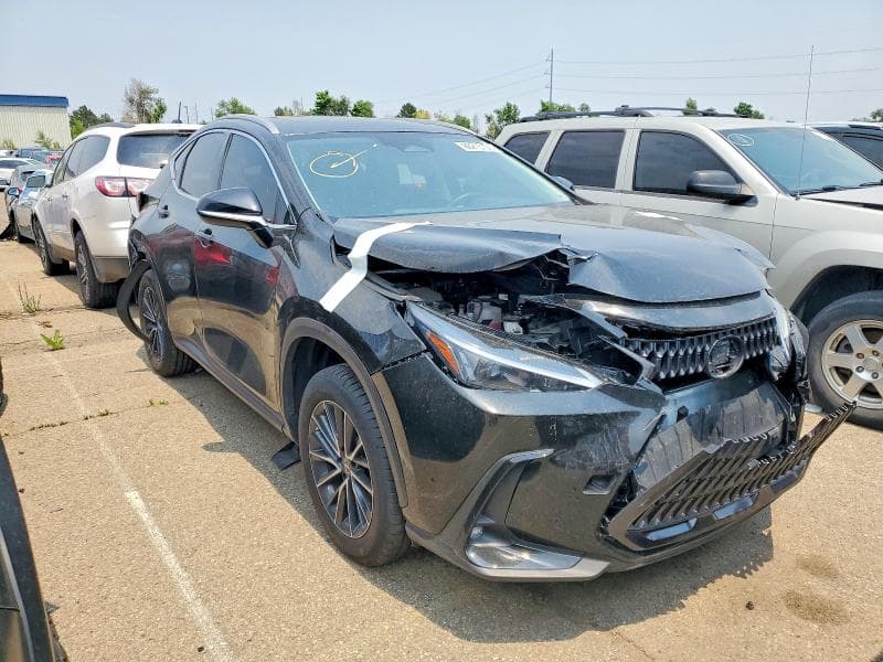 2023 LEXUS NX 350 4