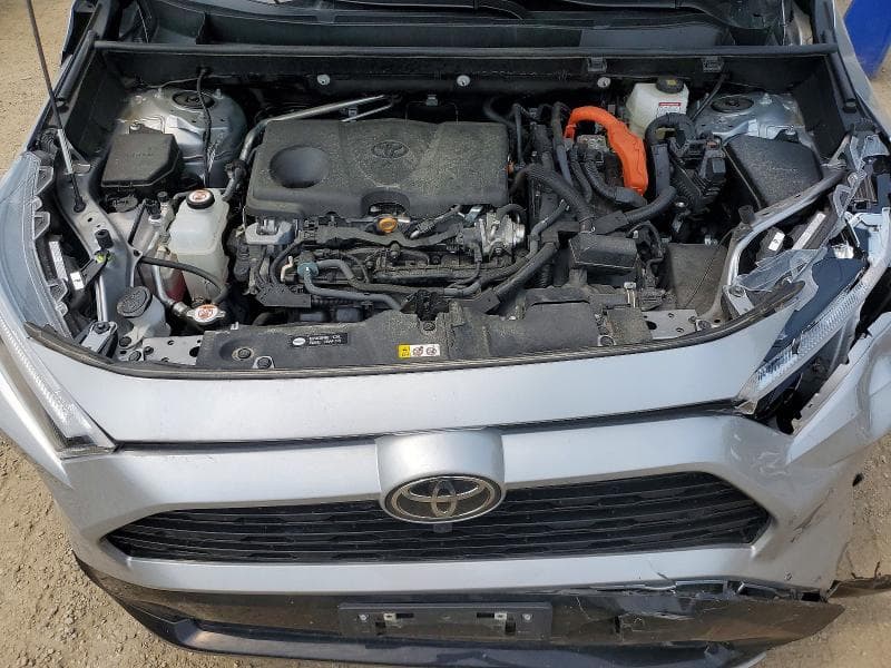 2025 TOYOTA RAV4 XSE 12