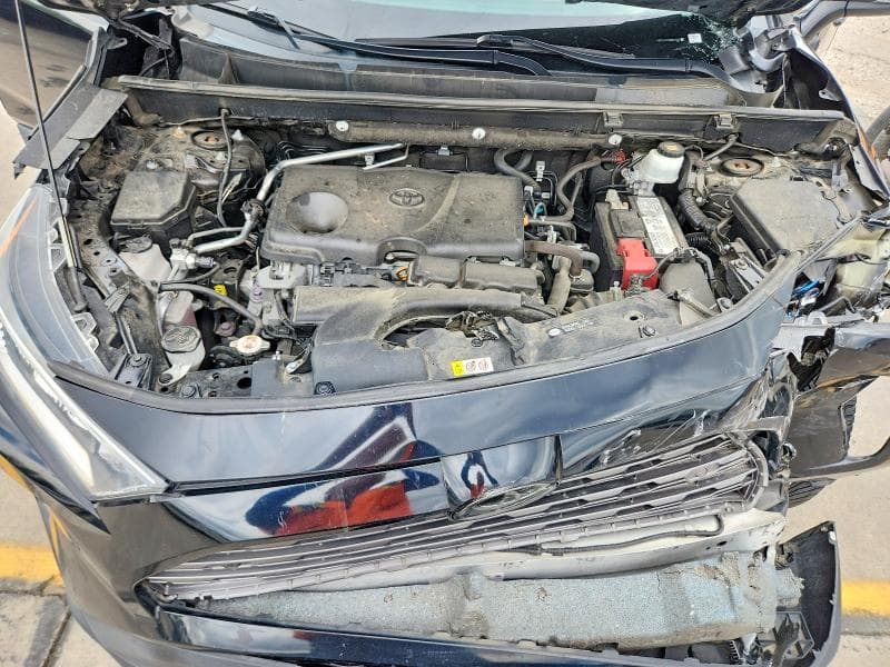 2019 TOYOTA RAV4 LIMITED 12