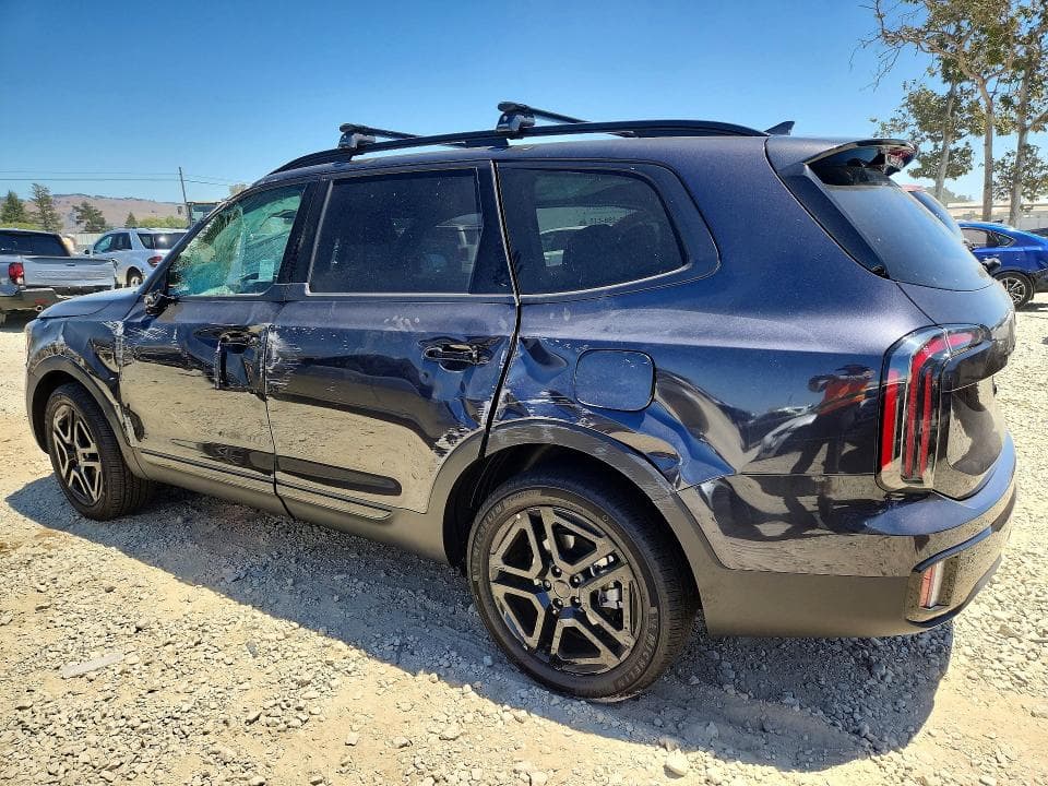 2025 KIA TELLURIDE SX-PRESTIGE X-LINE 2