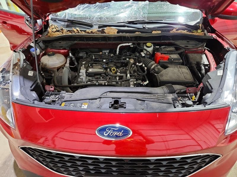 2020 FORD ESCAPE SE SE 12