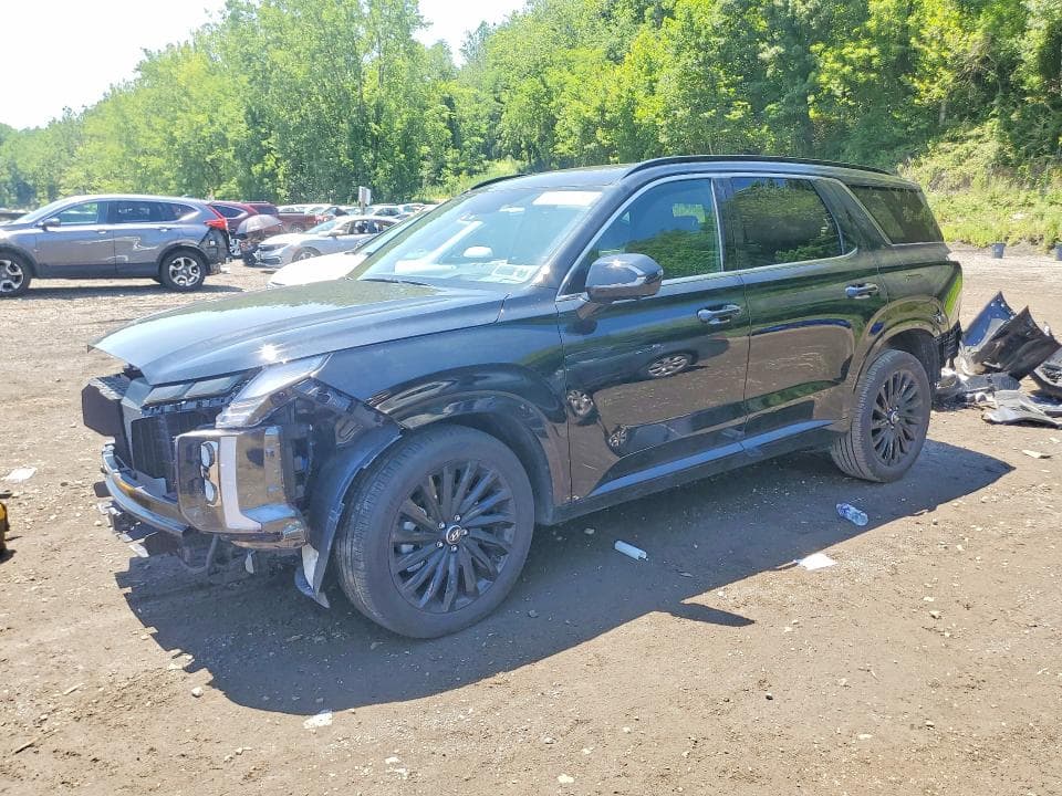2025 HYUNDAI PALISADE CALLIGRAPHY NIGHT EDITION - 1