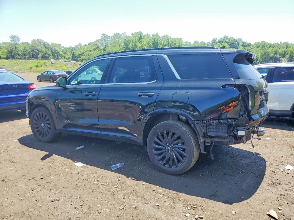 2025 HYUNDAI PALISADE CALLIGRAPHY NIGHT EDITION 2