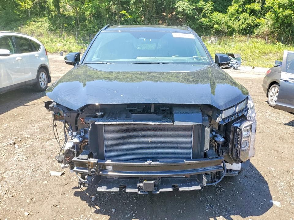 2025 HYUNDAI PALISADE CALLIGRAPHY NIGHT EDITION 5