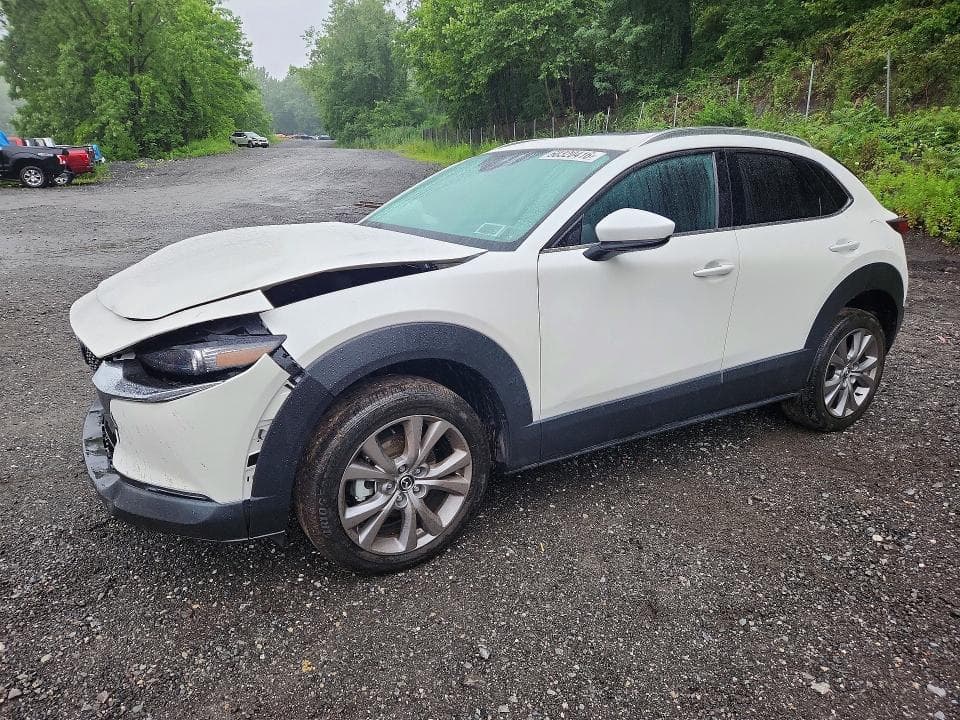 2021 MAZDA CX-30 PREMIUM - 1
