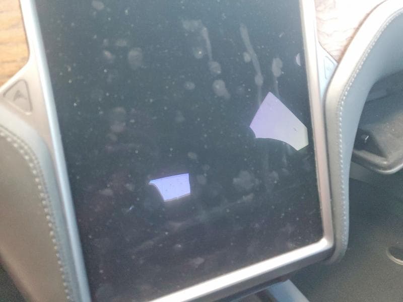 2019 TESLA MODEL S 9