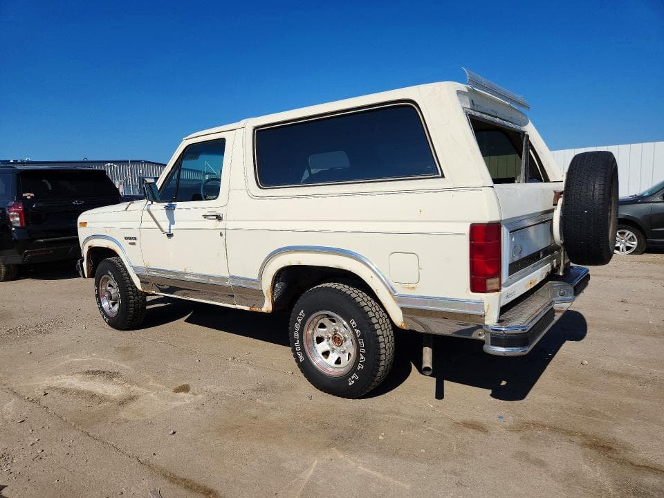 1983 FORD BRONCO U100 2