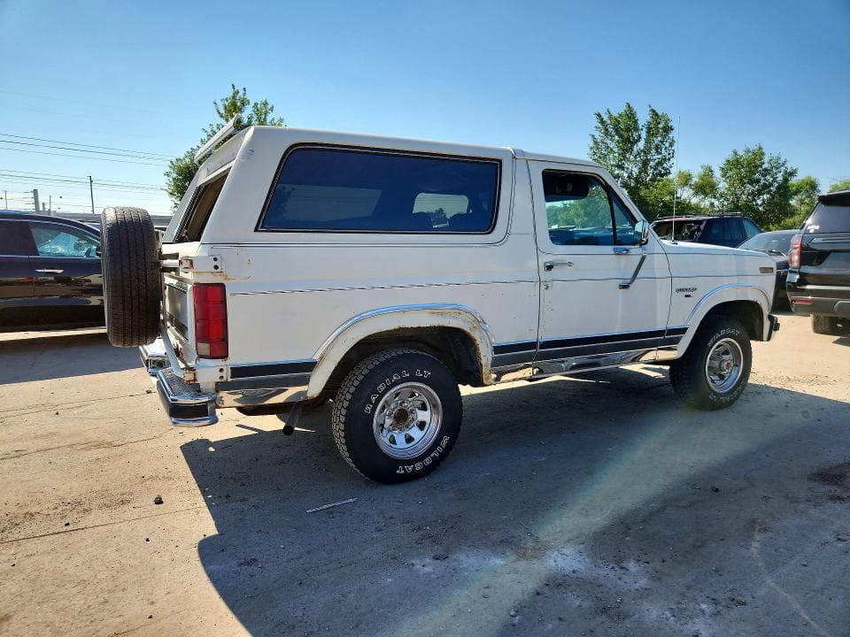 1983 FORD BRONCO U100 3