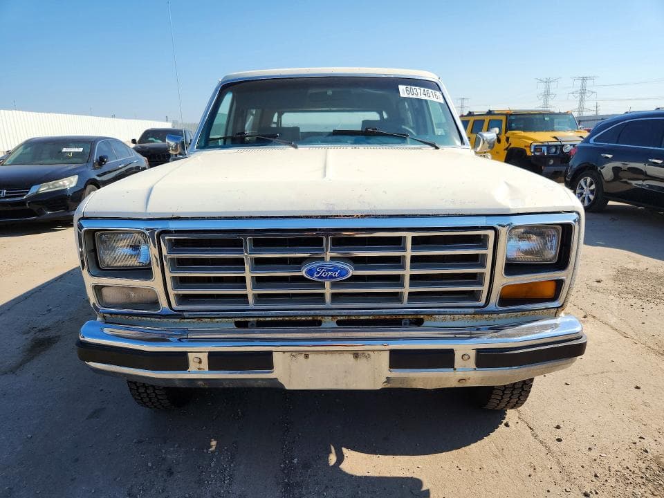 1983 FORD BRONCO U100 5