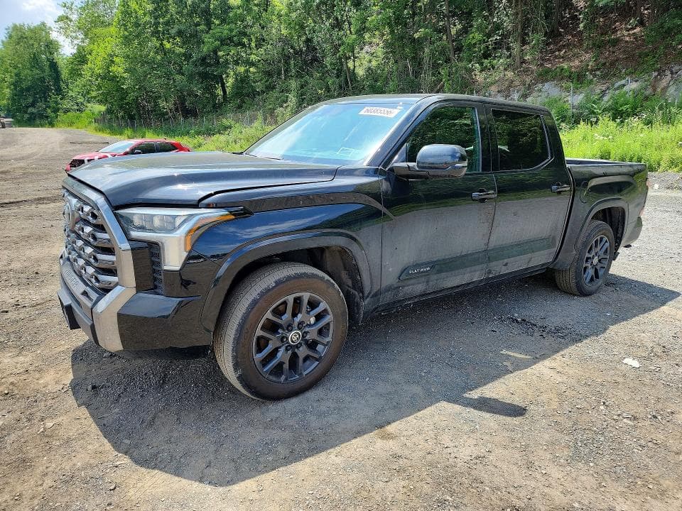 2024 TOYOTA TUNDRA PLATINUM - 1