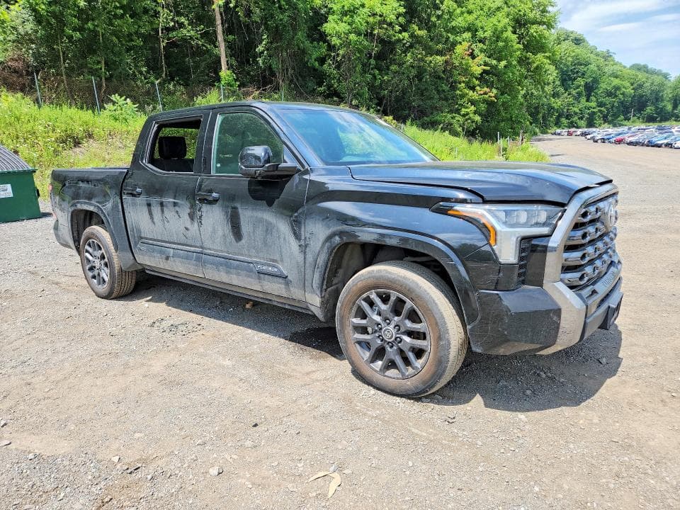 2024 TOYOTA TUNDRA PLATINUM 4