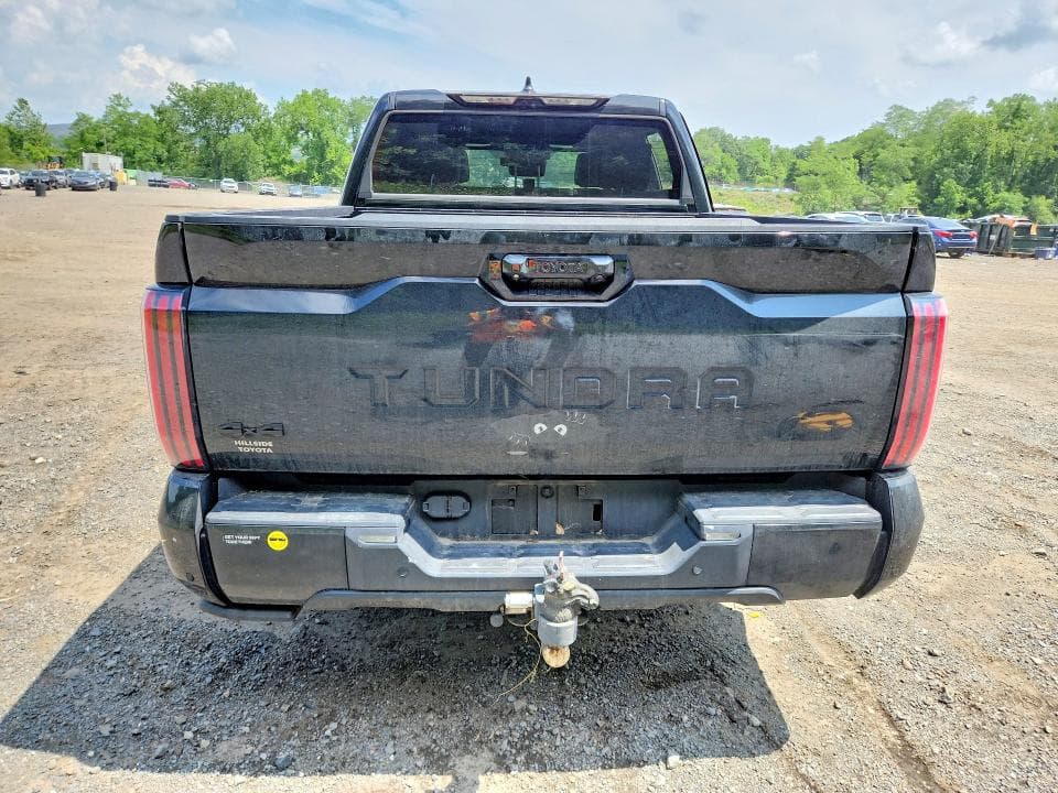2024 TOYOTA TUNDRA PLATINUM 6