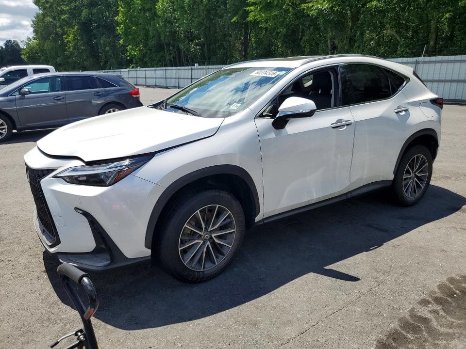 2024 LEXUS NX 350 PREMIUM - 1
