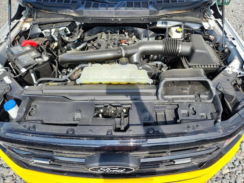 2025 FORD F150 XLT 11