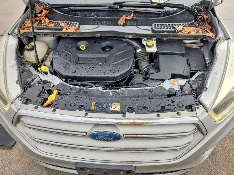 2018 FORD ESCAPE 12