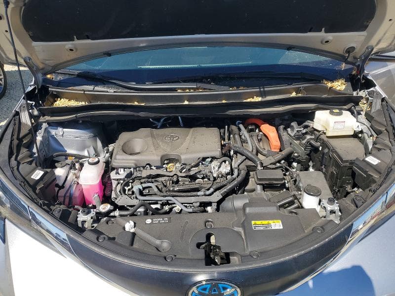 2025 TOYOTA SIENNA XLE 7-PASSENGER 12