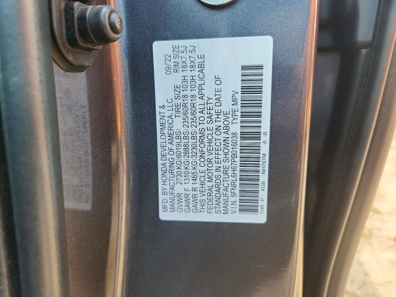 2023 HONDA ODYSSEY EXL 14