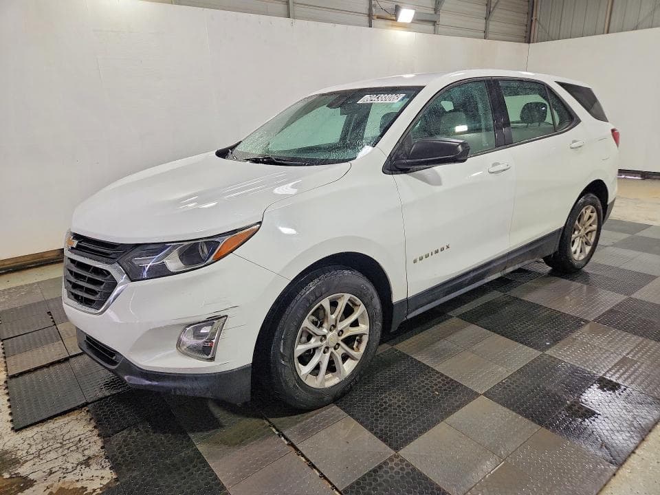 2019 CHEVROLET EQUINOX LS - 1