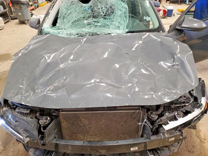2024 HYUNDAI ELANTRA SEL SEL 11