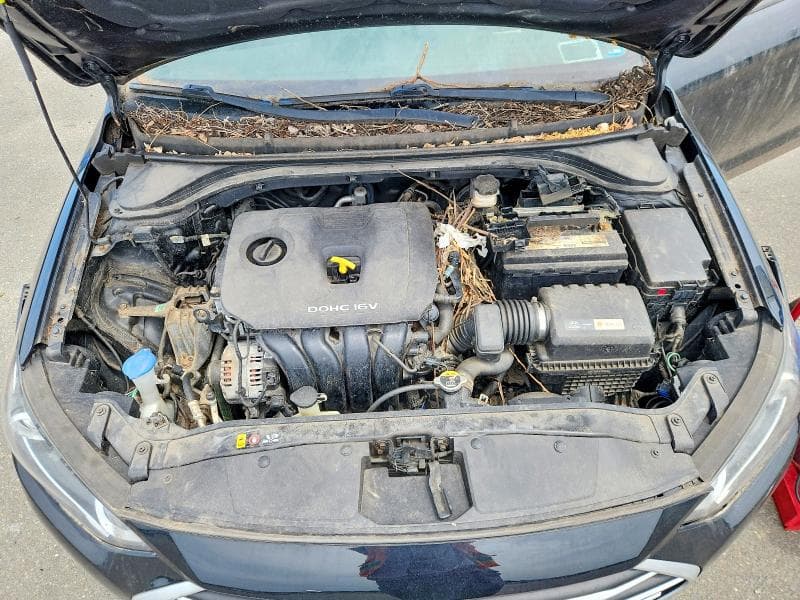 2017 HYUNDAI ELANTRA SE 11