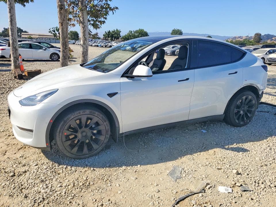 2022 TESLA MODEL Y - 1