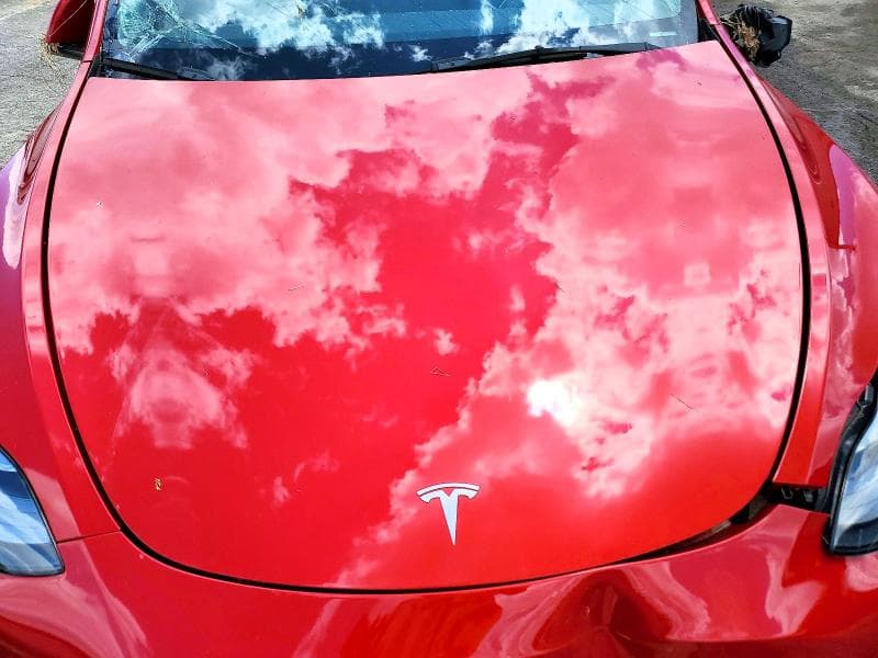 2023 TESLA MODEL Y 11