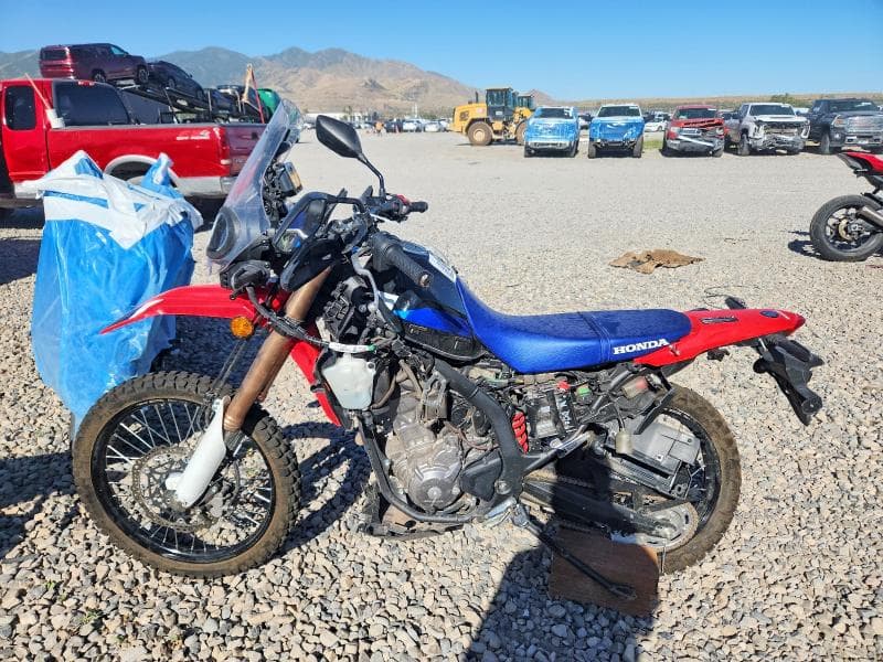 2025 HONDA CRF300 LRA 3