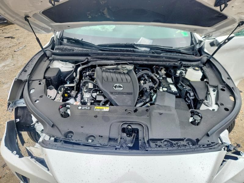2025 LEXUS RX 350 PREMIUM 12