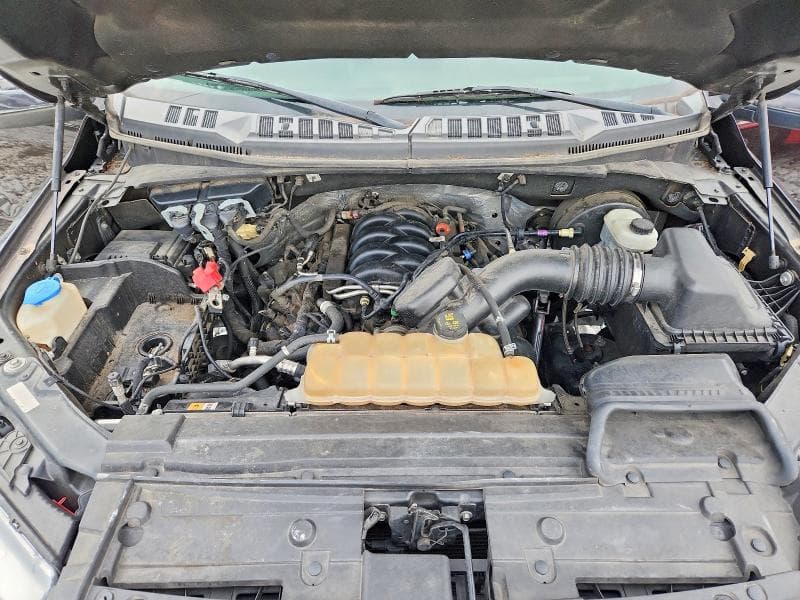 2019 FORD F150 SUPERCREW 11