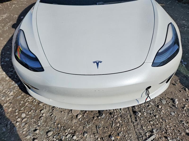 2019 TESLA MODEL 3 11