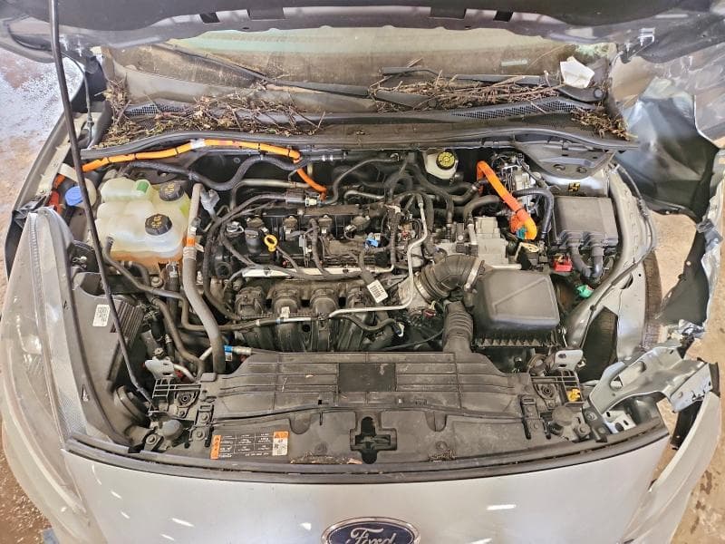 2022 FORD ESCAPE SEL 12