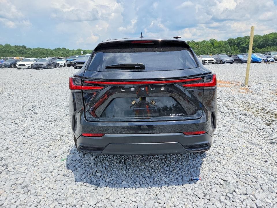 2024 LEXUS NX 250 PREMIUM 6