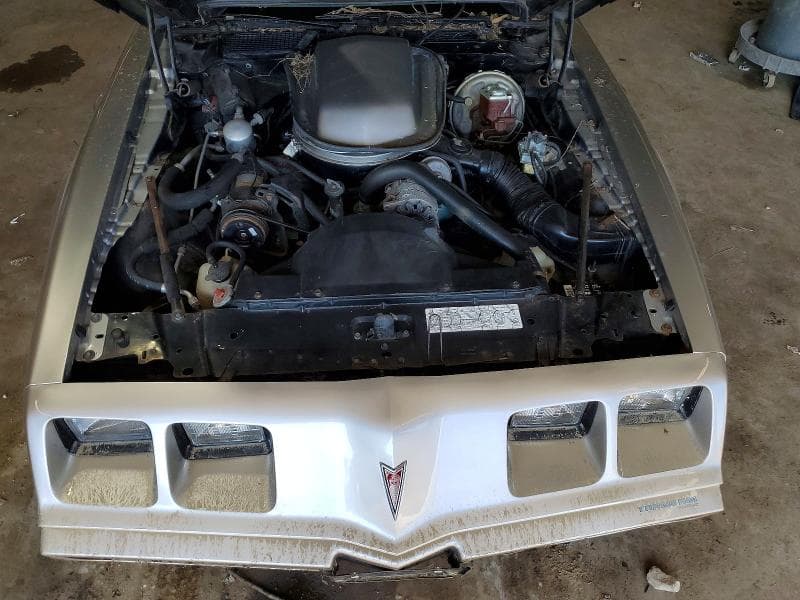 1979 PONTIAC FIREBIRD 11