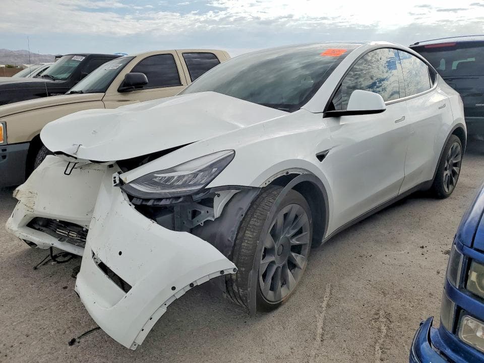 2020 TESLA MODEL Y - 1