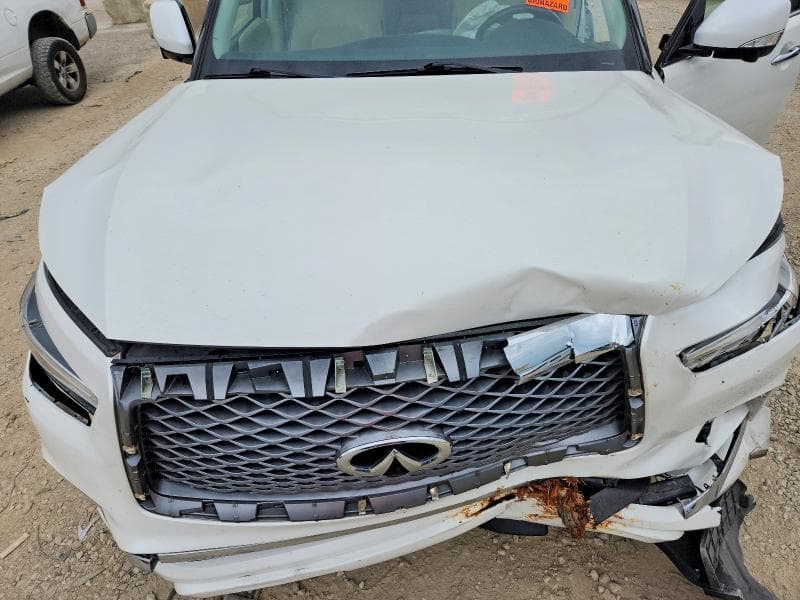 2019 INFINITI QX80 LUXE 11