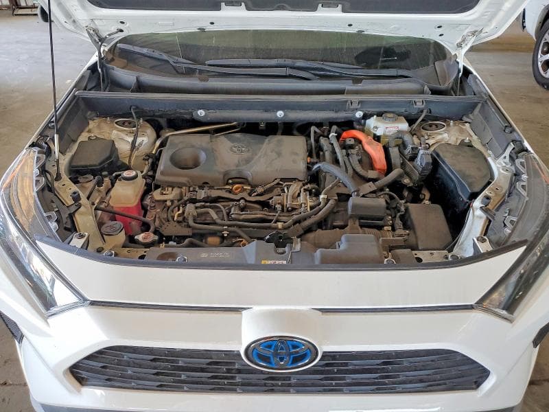 2020 TOYOTA RAV4 LE 12