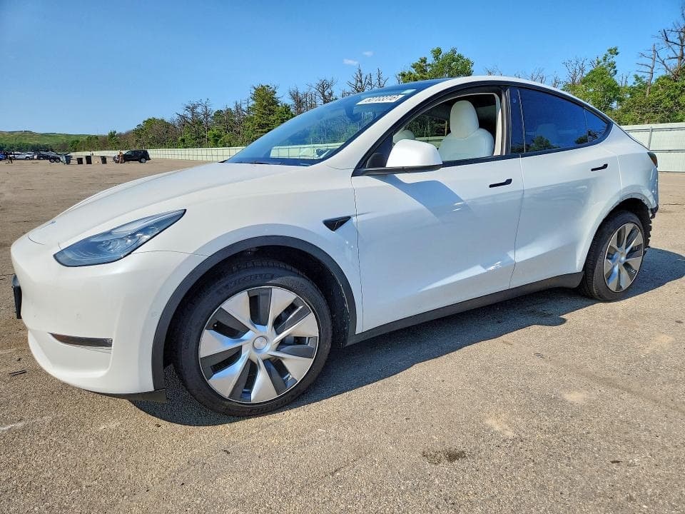 2021 TESLA MODEL Y - 1