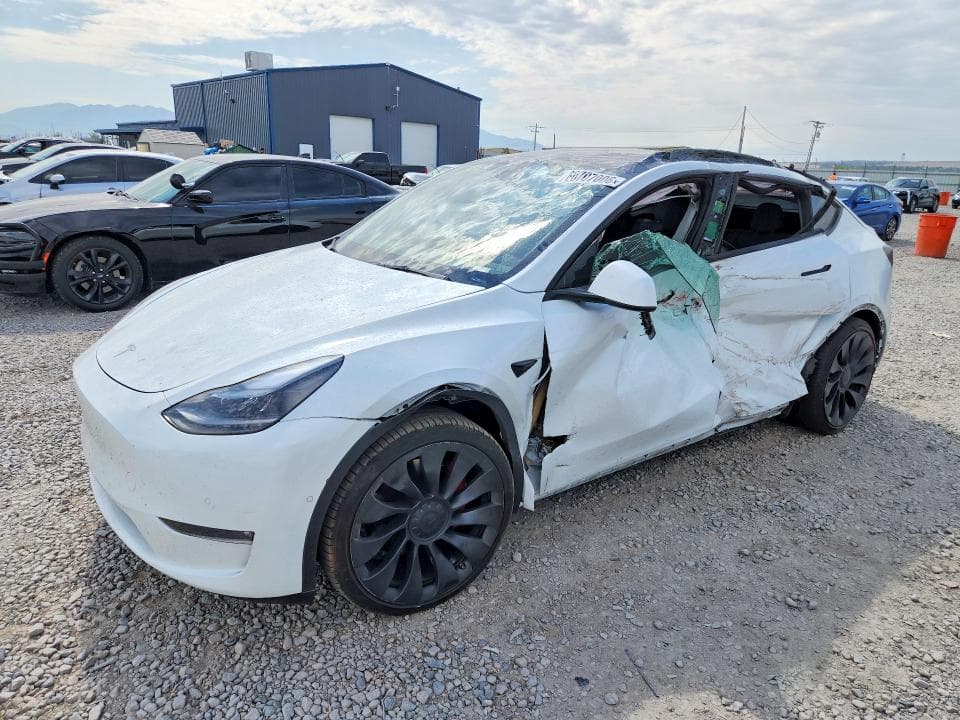 2022 TESLA MODEL Y - 1