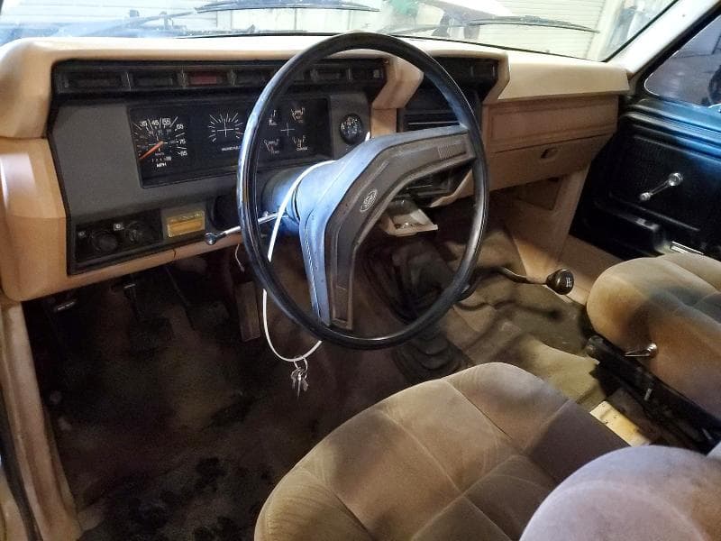 1985 FORD F150 8