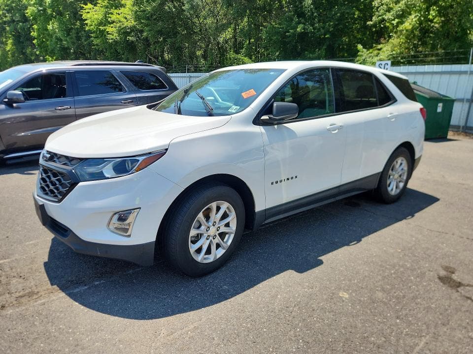 2019 CHEVROLET EQUINOX LS - 1