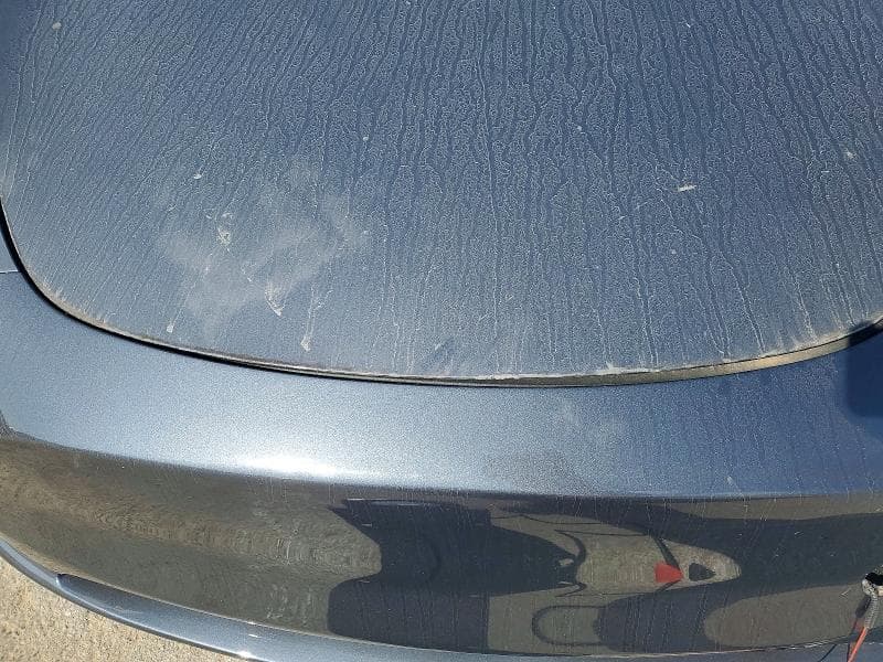 2023 TESLA MODEL Y 11