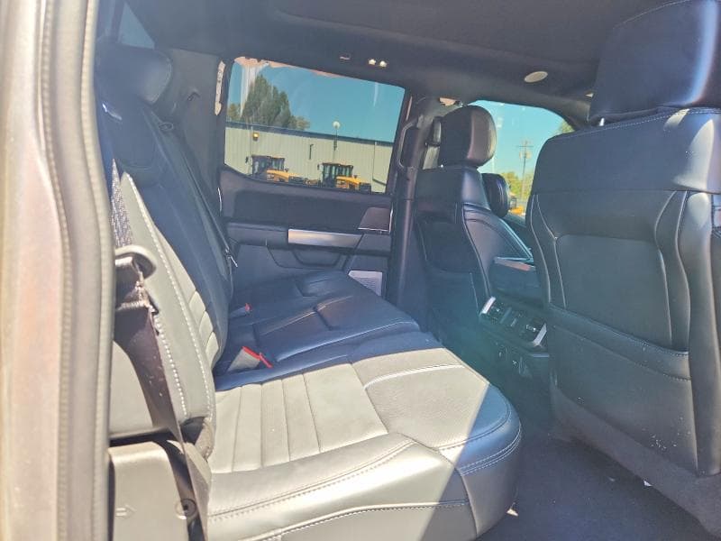 2024 FORD F150 PLATINUM PLATINUM 10