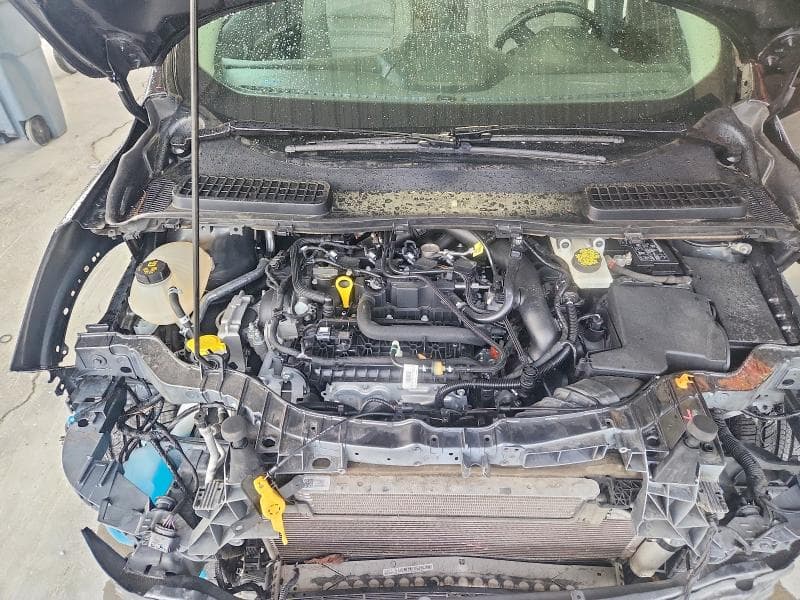 2019 FORD ESCAPE SEL SEL 11