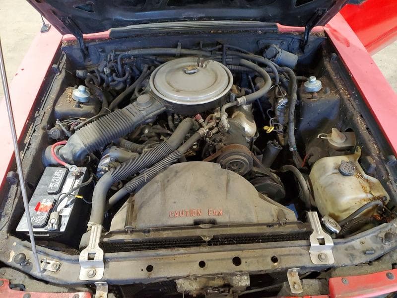 1984 FORD MUSTANG GLX 11