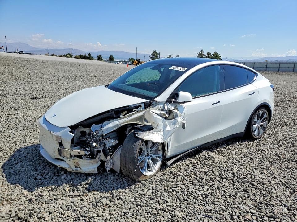 2021 TESLA MODEL Y - 1