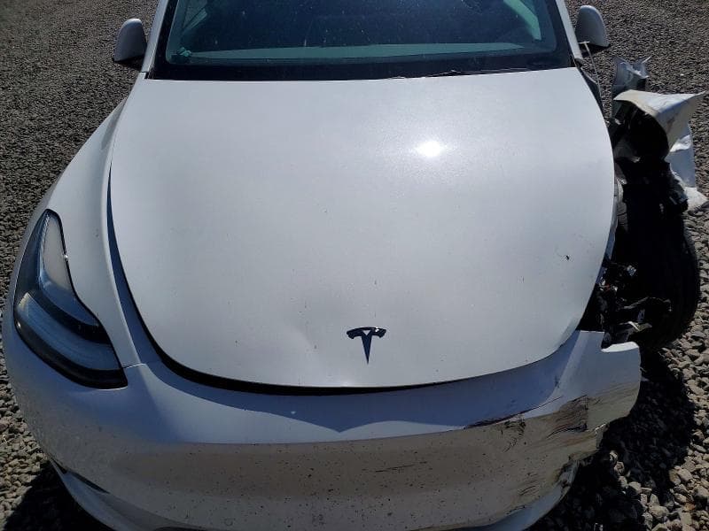 2021 TESLA MODEL Y 11