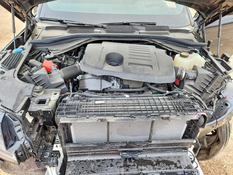 2025 LAND ROVER RANGE ROVER SE 12