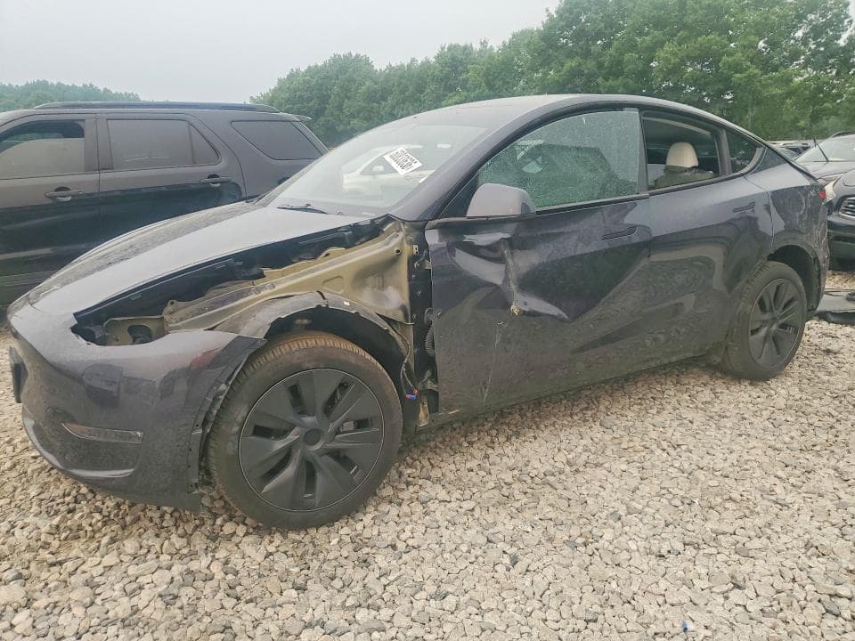 2025 TESLA MODEL Y - 1